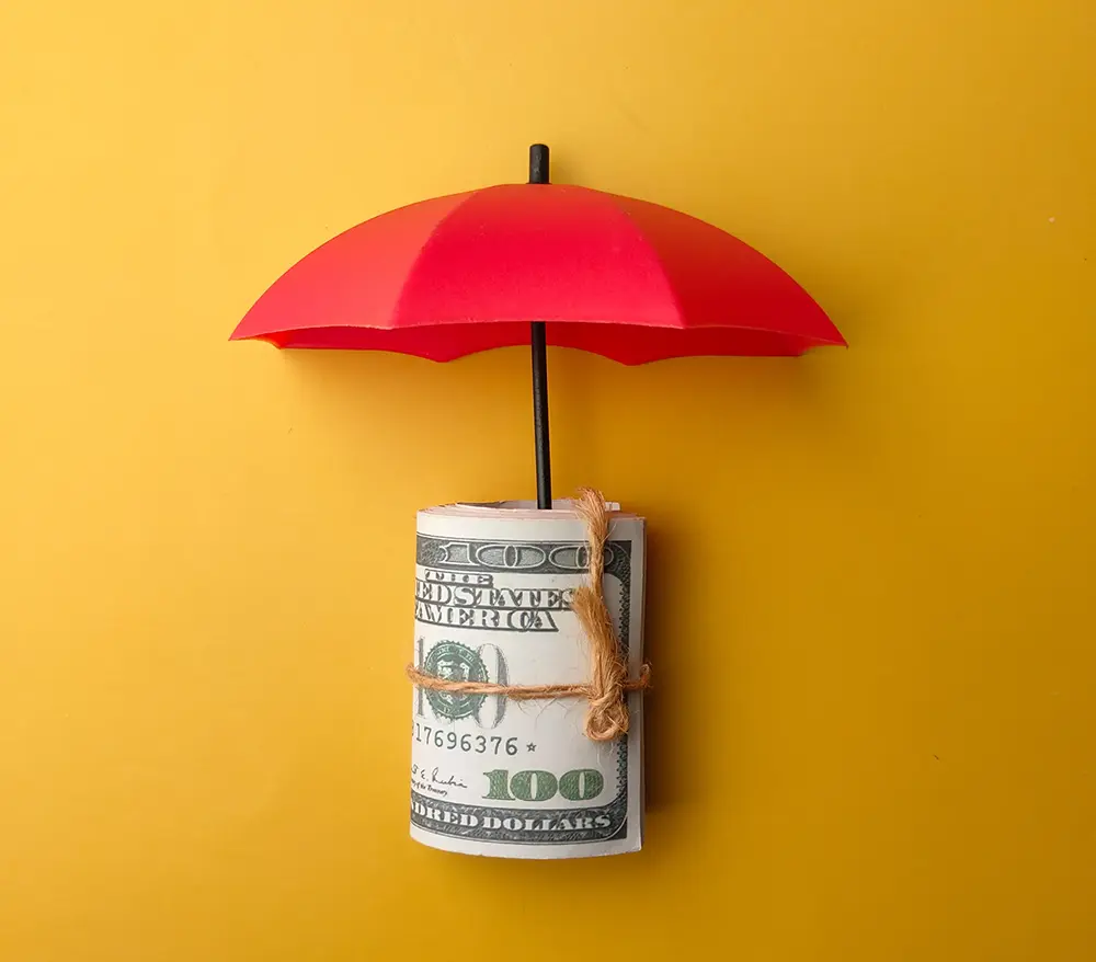 Insurance Investment